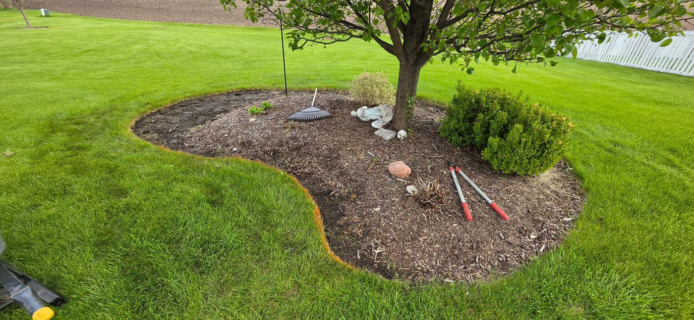 Kidney-shaped bed around a tree with bare soil and tools still on the ground