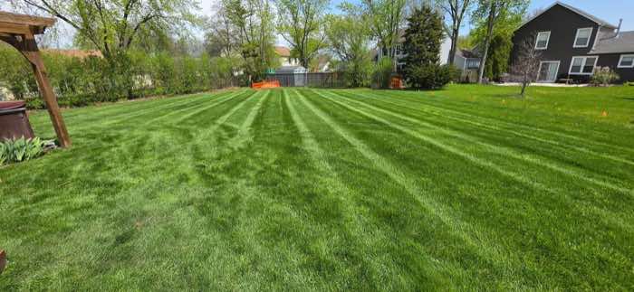 The same back lawn mown with clean, even stripes