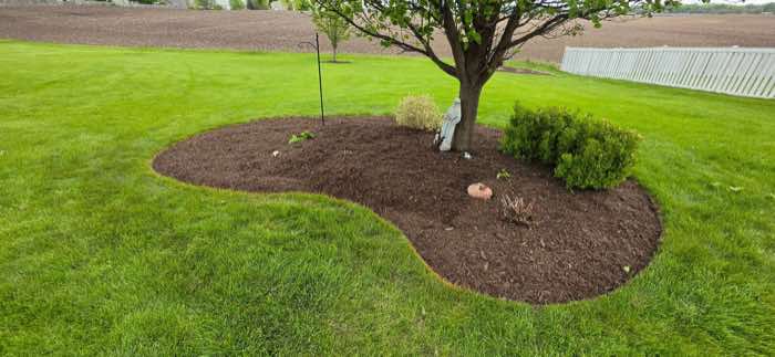 Curved mulch bed with shrubs along a lawn