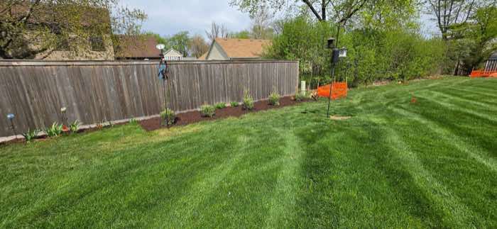 Mown lawn along a fence with a planted bed